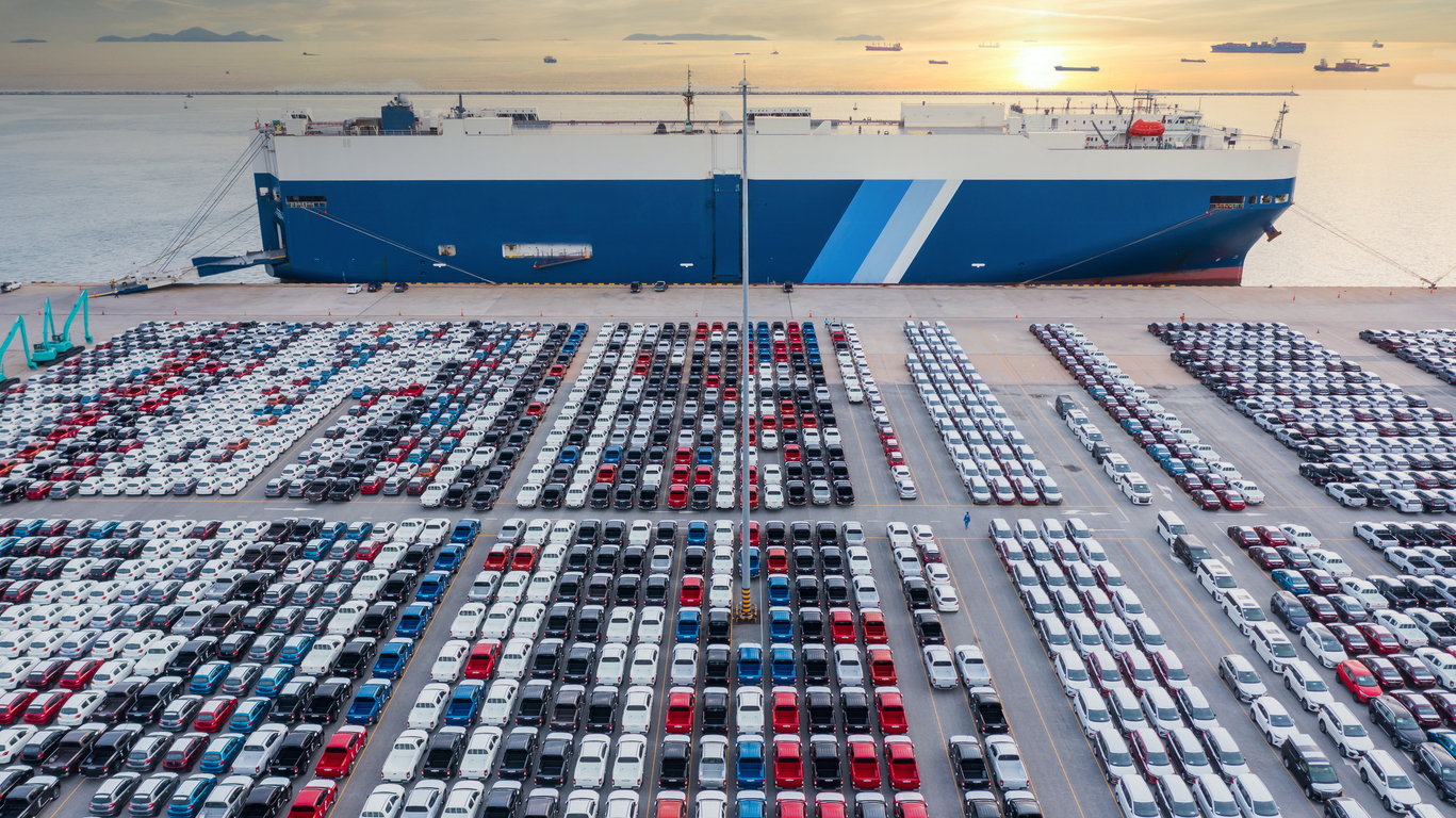 Importer Management Solution (IMM)